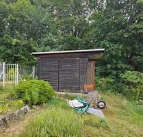 Kleiner Wilder Garten am Waldrand – Parzelle abzugeben! - Tharandt