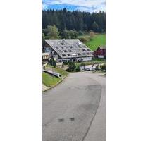 Gemütliche 1-Zimmer-Wohnung mit Balkon, Aussicht & Tiefgaragenste - Furtwangen im Schwarzwald