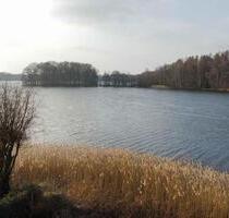 Bungalow am Neversdorfer See - 333.333,00 EUR Kaufpreis, ca.  68,00 m² in Leezen (PLZ: 23816)