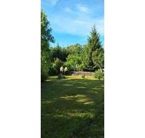 3 RW in Steina bei Hartha mit Garten