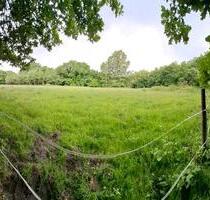 Wiese abgrasen, Weideland - 30,00 EUR Kaltmiete, ca.  0,00 m² in Aurich (PLZ: 26607) Georgsfeld und Tannenhausen
