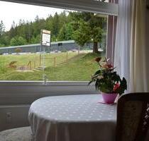 Tolle Voll ausgestattete Eigentumswohnung in Schluchsee