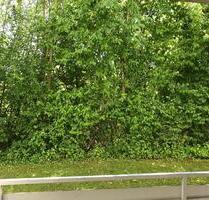 ALFELD, tolle Gelegenheit, 50qm, 2 ZKB teilmöblierte, mit Balkon - Alfeld (Leine)