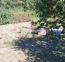 Pachtgarten - 3.800,00 EUR Kaltmiete, ca.  0,00 m² in Nesse-Apfelstädt (PLZ: 99192)