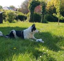 2 Zimmer Wohnung mit Einbauküche und Garten - Blekendorf