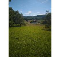 GartenWiesengrundstück im Remshalden