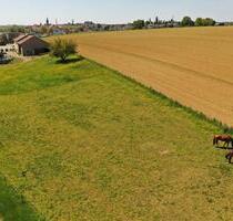 Modernisierter Aussiedlerhof mit Pferdestall, Wiese und Werkstatt - Eppingen