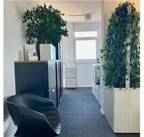 Büro Penthouse zu vermieten Ludwigsburg - Bietigheim-Bissingen