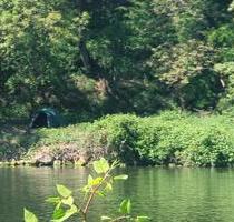 Freizeitgrundstück direkt am Neckar zu verpachten! Bushcrafting - Heidelberg Peterstal