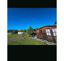 Pachtgarten - 500,00&nbsp;EUR Kaltmiete, ca.&nbsp; 0,00&nbsp;m&sup2; in Raguhn-Jeßnitz (PLZ: 06800) Jeßnitz (Anhalt)