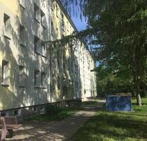 Neu Renoviert - Einzug ab 01.02.2026 möglich - Borna