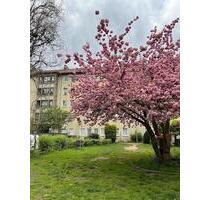 Moderne 1-Zimmer-Wohnung mit Tageslichtbad! - Bielefeld Mitte