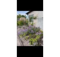 Kleingarten Schrebergarten zum Teilen Nordstadt - Hannover Vahrenwald-List