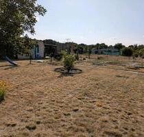 Pachtgarten in 14776 - 2.500,00 EUR Kaltmiete, ca.  0,00 m² in Brandenburg an der Havel (PLZ: 14772) Görden