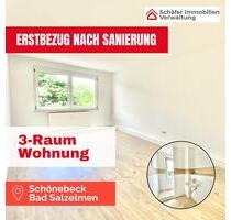 Erstbezug nach Sanierung: Stilvolle 3-Zimmer-Wohnung in Schönebeck-Bad Salzelmen - Schönebeck (Elbe)