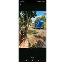 Pachtgarten abzugeben - 650,00 EUR Kaltmiete, ca.  0,00 m² in Eisenach (PLZ: 99817)