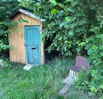 Erster Monat kostenlos! Tiny-House-Siedlung bei Bad Liebenwerda zu vermieten – perfekt für Camper, Naturliebhaber und Off-Grid-Enthusiasten