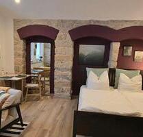 möblierte Wohnung auf Zeit Dresden mit Terrasse