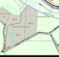 4 zusammenhängende Wiesen– 17000 m² nahe Altenkirchen - Mammelzen