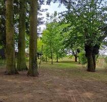 Freizeitgrundstück Garten Naturlandschaft zur PachtMiete - Weinheim
