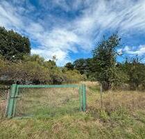 Gartengrundstück zu verpachten in 77797 Ohlsbach - Schutterwald