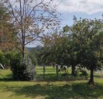 Garten-, Freizeitgrundstück in herrlicher Lage zu verpachten - Kämpfelbach