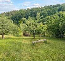 Baumwiese in schöner Lage - 3.200,00 EUR Kaltmiete, ca.  0,00 m² in Riederich (PLZ: 72585)