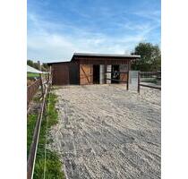 Paddockbox mit Koppel - 400,00 EUR Kaltmiete, ca.  0,00 m² in Kehl (PLZ: 77694)