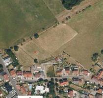 Garten in Schwalmstadt Ziegenhain zu verpachten - Homberg (Efze)