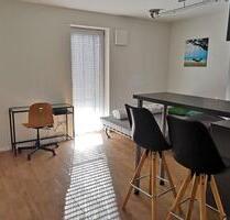 Vollmöblierte, moderne 1-Zimmer-Wohnung mit Balkon zu vermieten - Neuburg an der Donau