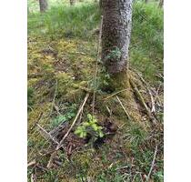 Ökopunkte, Ökowertpunkte, Naturraum D66 - Vogtareuth