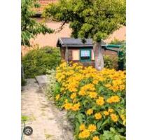 Kleingarten 140m2 Wittenberge Prignitz