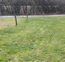 Holzlagerplatz, Sulzfeld - 10,00 EUR Kaltmiete, ca.  0,00 m² in Eppingen (PLZ: 75031)