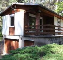 Ferienhaus direkt am See, Angelurlaub, Urlaub mit Hund - Bad Saarow