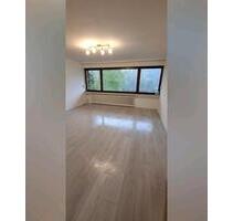 1 Zimmerwohnung Single Apartment frisch renoviert zu vermieten - Hagen Hagen-Mitte