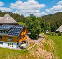 Fewo, Schwarzwald, Sauna, klimaneutral - Vöhrenbach