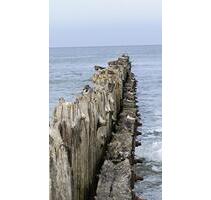 Norderney zu zweit, Strandnähe,freie Zeiten ab dem 26.10.2025