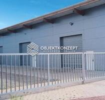 Lagerhalle mit ca. 250 m² Nutzfläche, Rolltor & optionalem Außenbereich - Mahlberg