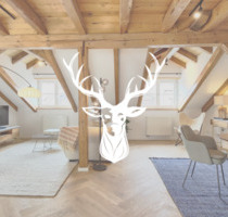 Exklusive 2-Zimmer Wohnung vollständig möbliert monatlich anmietbar - Waldshut-Tiengen