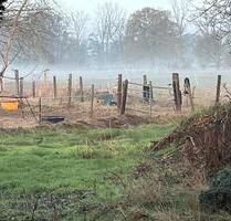 Großzügiger Dachgeschosswohnung in Engelbostel, Schulenburg - Langenhagen