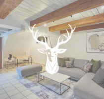 Exklusive 2-Zimmer Wohnung vollständig möbliert monatlich anmietbar - Waldshut-Tiengen