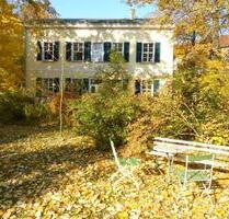 2 Zi DG Wohnung, 50 qm in Leipzig Gohlis Süd in alter Villa