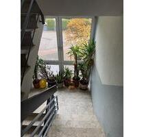 Schönes 1ZKB-Souterrain-Appartement in MZ Bretzenheim Uninähe - Mainz