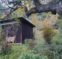 Garten mit Gartenhaus zur Pacht – nahe Bad Dürkheim, ruhige Lage!