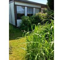 Garten Kleingarten in Stralsund Sparte Frohes Schaffen