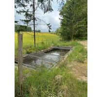 Freizeitgrundstück mit Fischweiher - Niederwörresbach