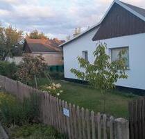 Kleingarten Dresden Seidnitz - 4.350,00 EUR Kaltmiete, ca.  0,00 m² in Dresden (PLZ: 01237) Blasewitz