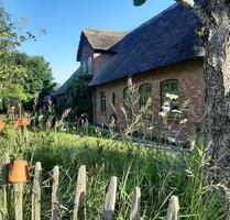Ferienwohnung auf Reethof, nördliches Nordfriesland - mit Hund! - Süderlügum
