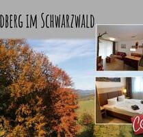 Ferienwohnung Feldberg im Schwarzwald Nähe Titisee - Feldberg (Schwarzwald)