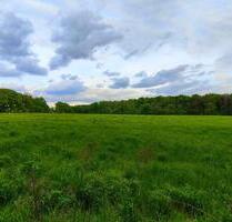 Haus | großes Grundstück - 900.000,00&nbsp;EUR Kaufpreis, ca.&nbsp; 125,00&nbsp;m&sup2; in Kleinmachnow (PLZ: 14532)